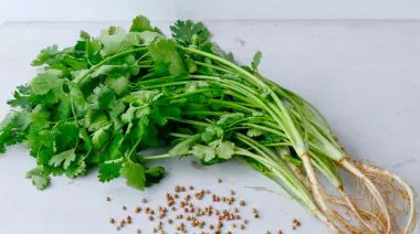 garnishing-instructions-image